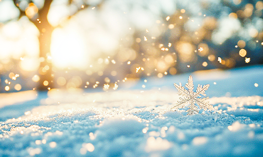 【喜報】中船風(fēng)帆“‘產(chǎn)改’賦能、助工成匠”工作結(jié)碩果